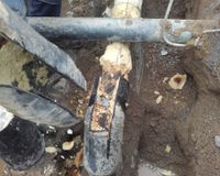 20160715_105420.X9Poe1EL_1BYPx9