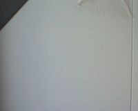 dsc_0038.u8JPTuD1_opEkX